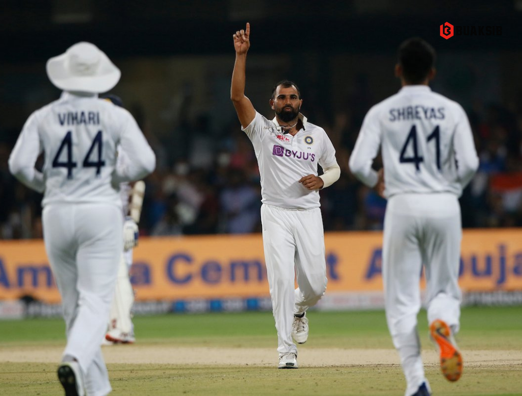 BCCI Hints For Selection Of Mohammad Shami In ICC T20 World Cup, IPL ...